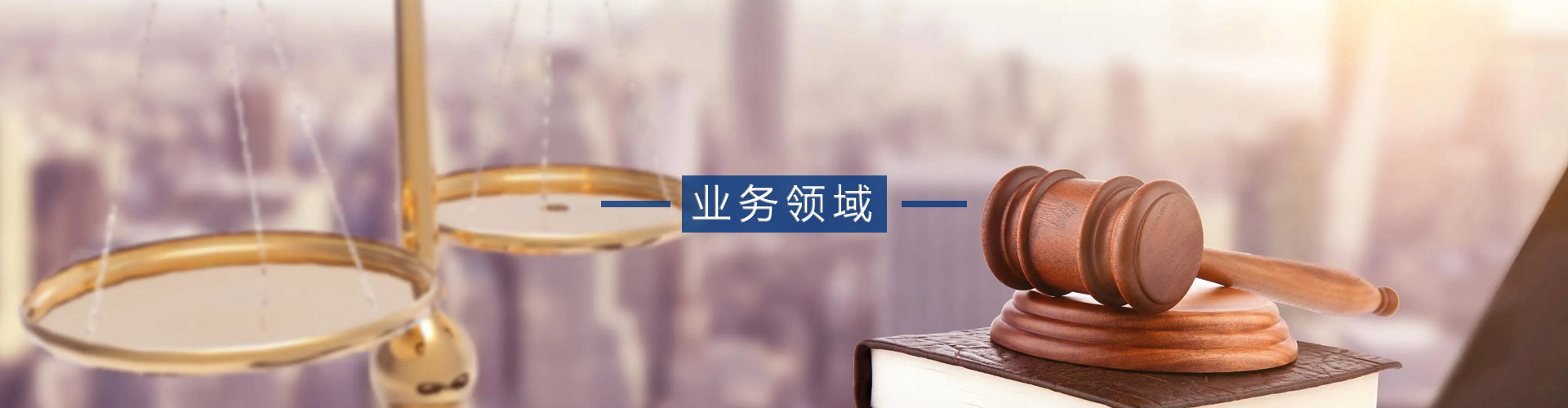 山东众成清泰（聊城）律师事务所关于我们